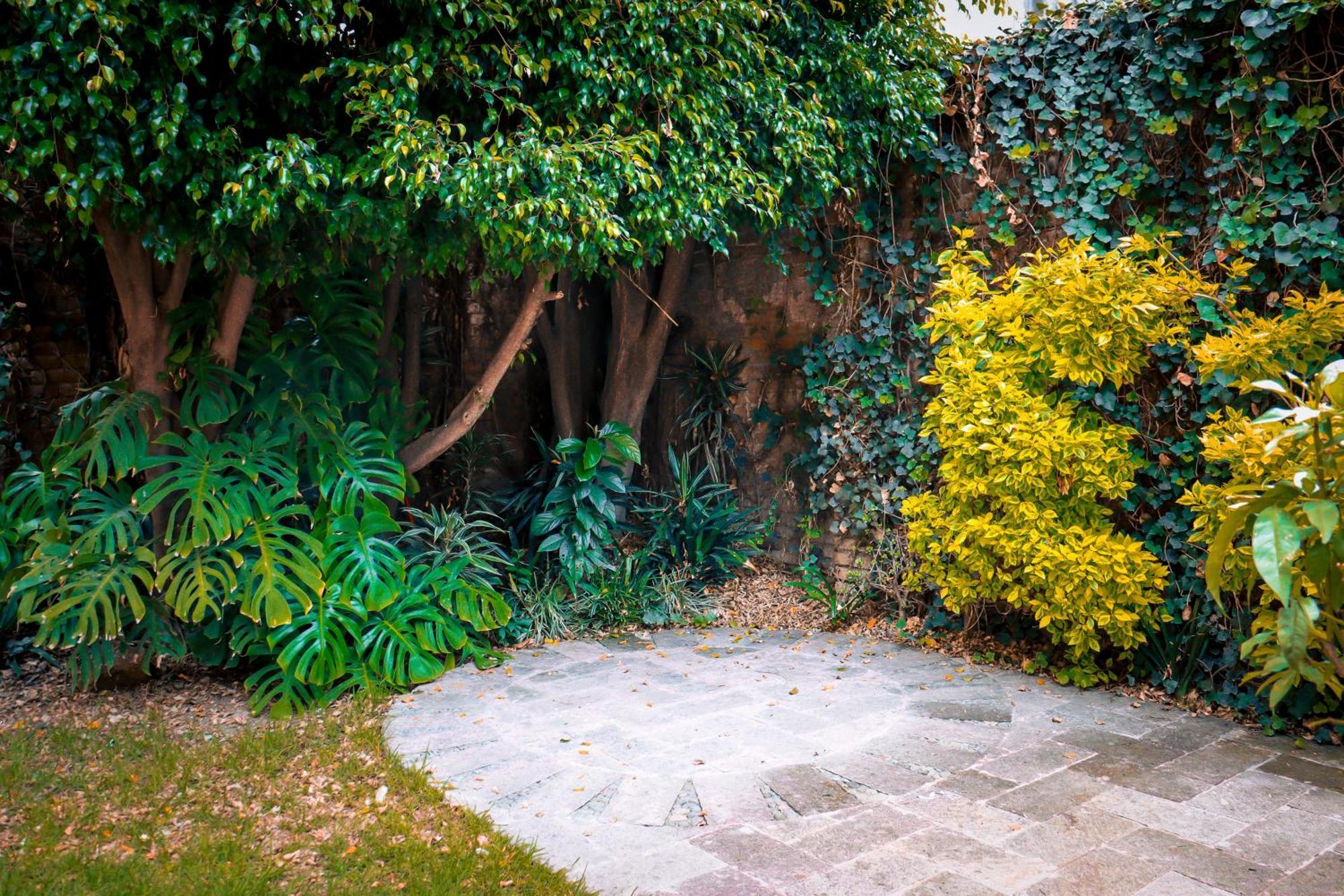 Suites Cuija Coyoacan Mexico Extérieur photo